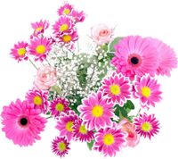 a pretty flower arrangement 